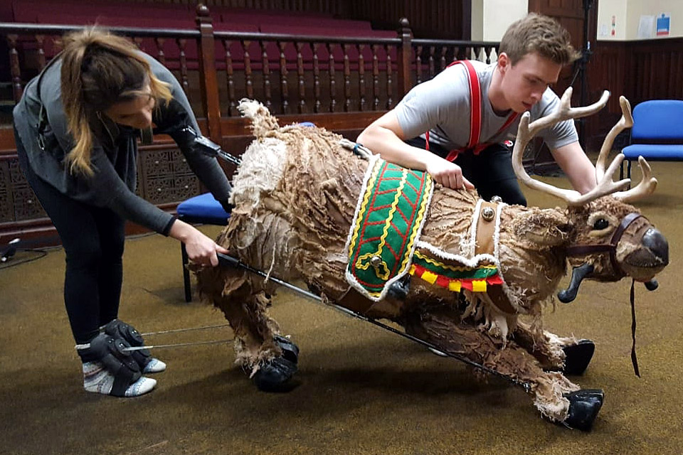 Reindeer on the Roof
