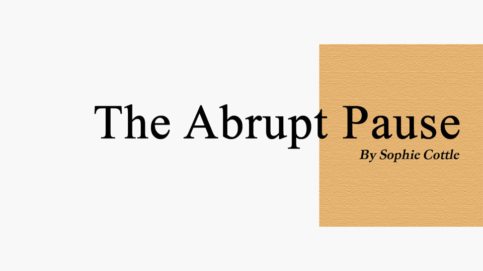 The Abrupt Pause - Poetry Collection