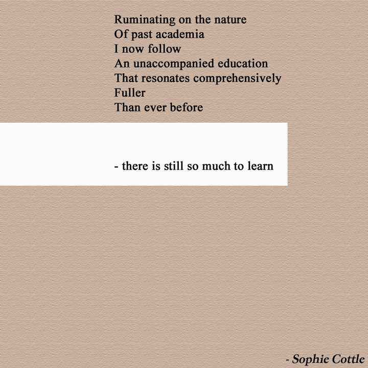 The Abrupt Pause Cover image