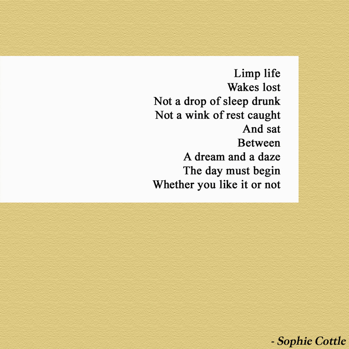 The Abrupt Pause Cover image